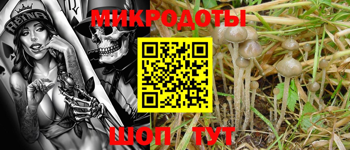 Псилоцибиновые грибы ЛСД  Вход с VPN  Рубцовск 